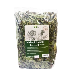 TIVO Mniszek Lekarski 600g MEGA PAKA